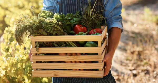 food manufacturers, sustainable, manage costs